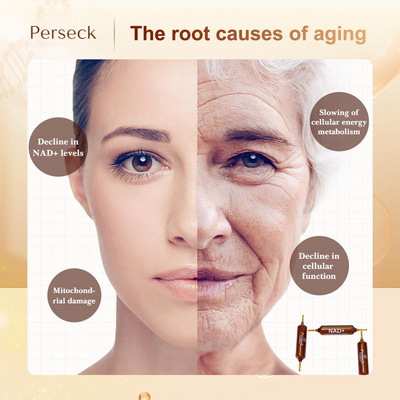 Perseck - NAD+ Viles